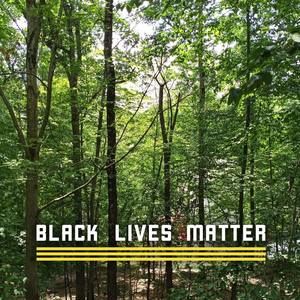 Meet your Posher, Horace